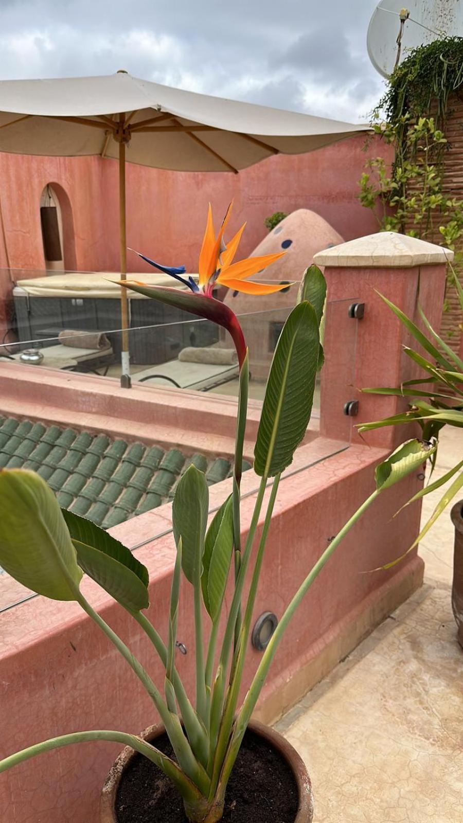 Riad Dar Ten Марракеш Екстер'єр фото